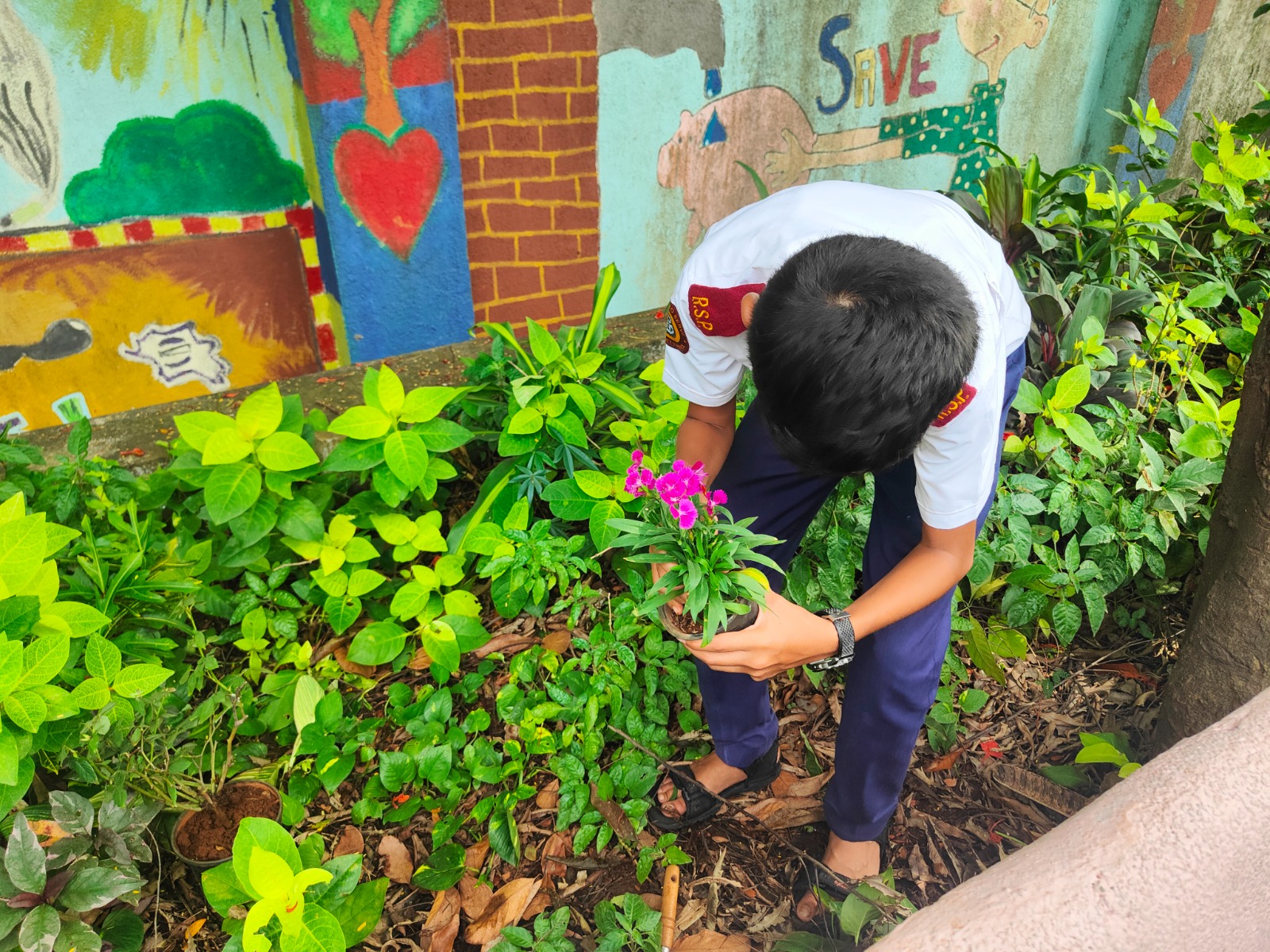 RSP Takes a Green Step: Tree Plantation Drive